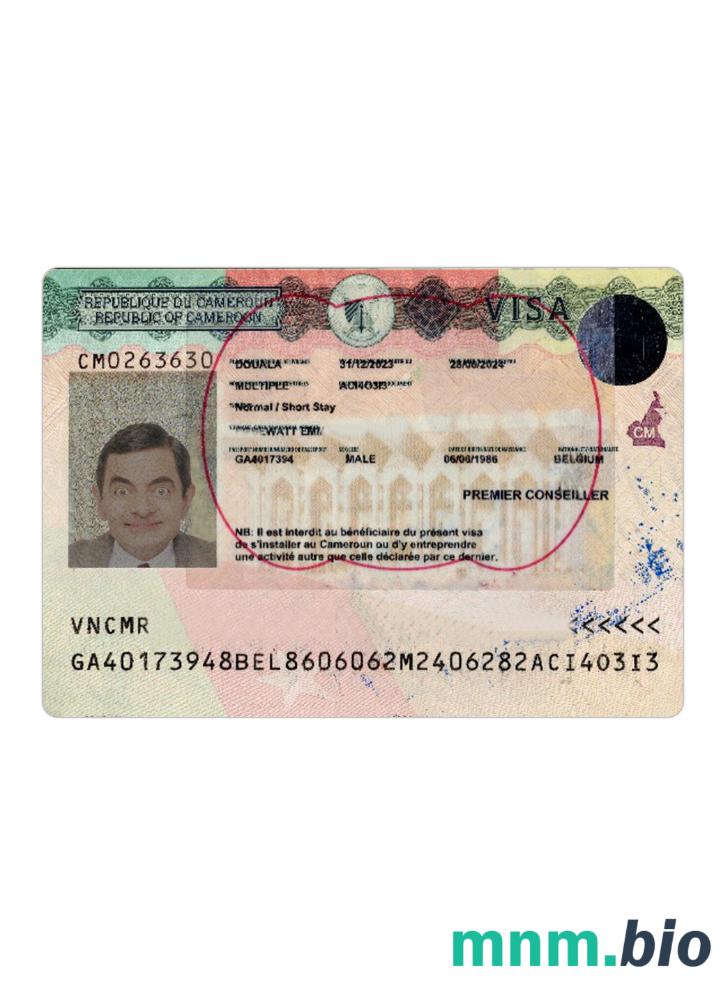 Cameroon travel visa version 2